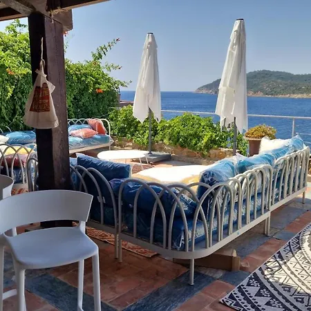 Mandragore 3* Île du Levant