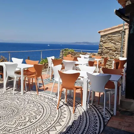 Mandragore Ile du Levant